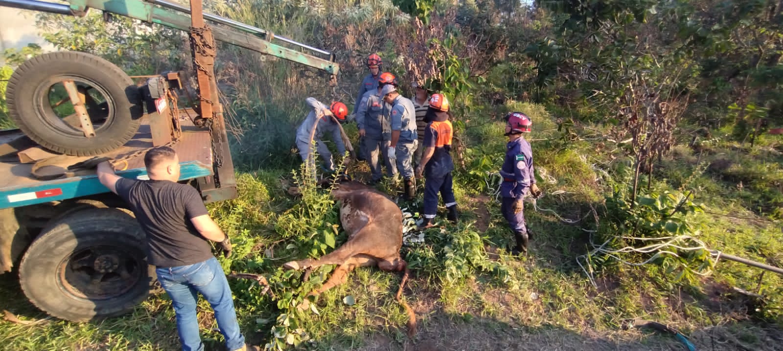 WhatsApp Image 2023-07-02 at 18.37.33 (2)