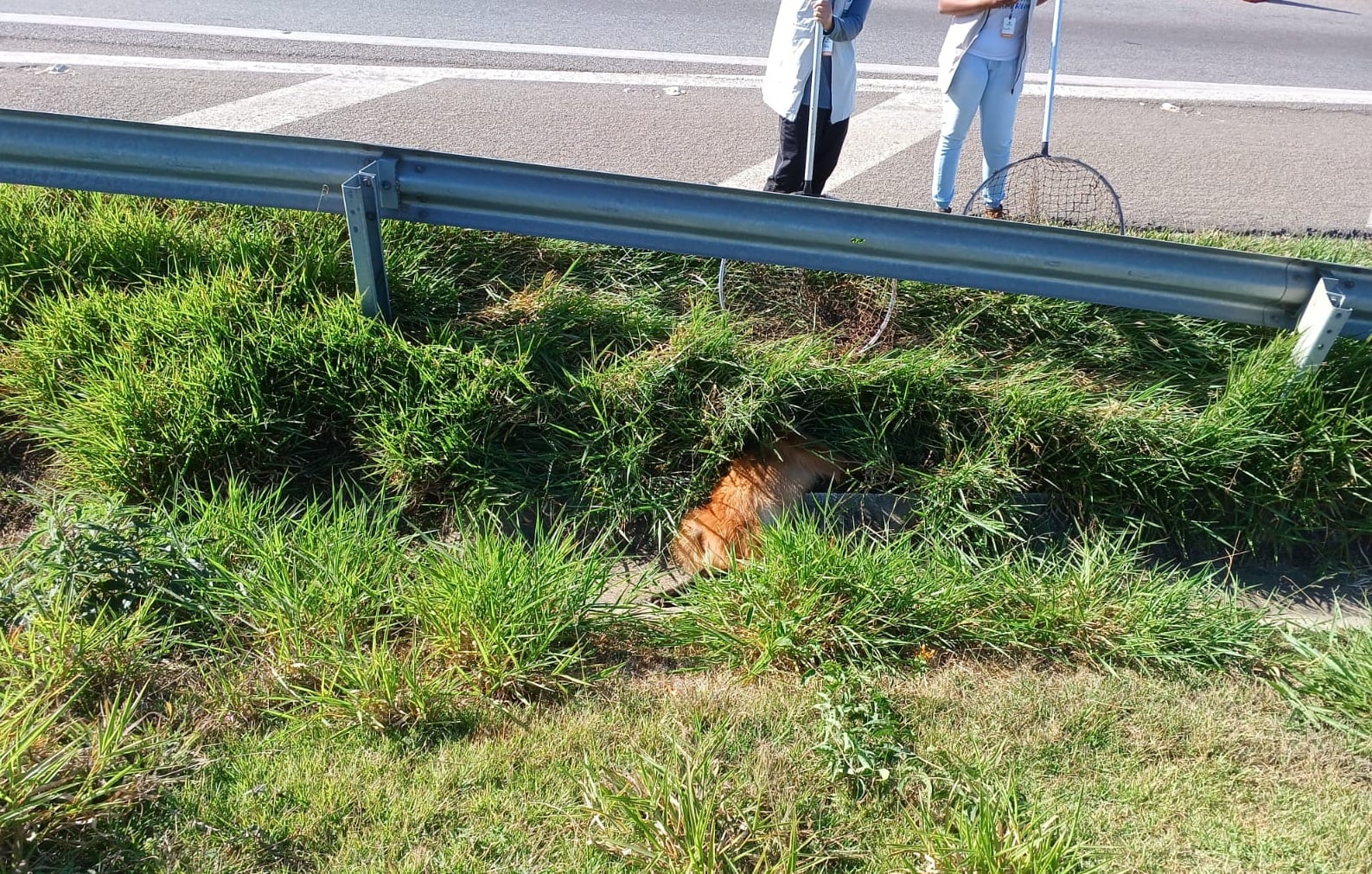 WhatsApp Image 2023-07-03 at 11.18.41