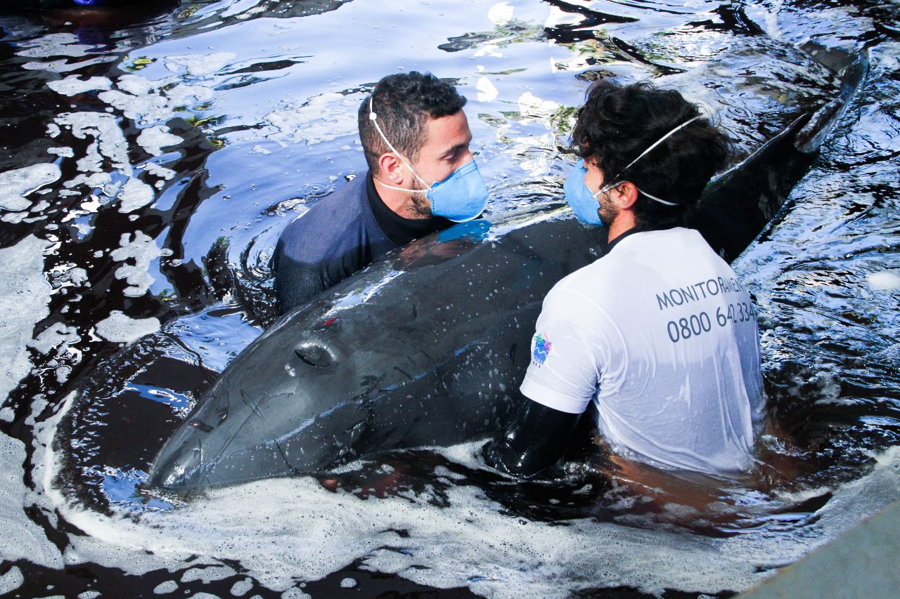 WhatsApp Image 2023-07-06 at 11.27.59