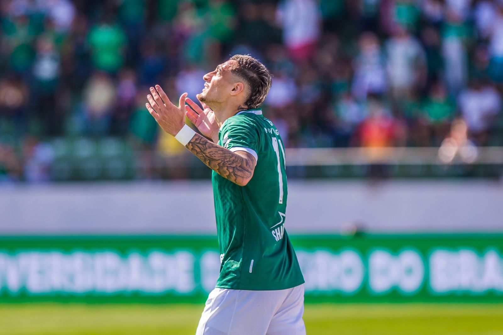 WhatsApp Image 2023-07-08 at 11.55.02