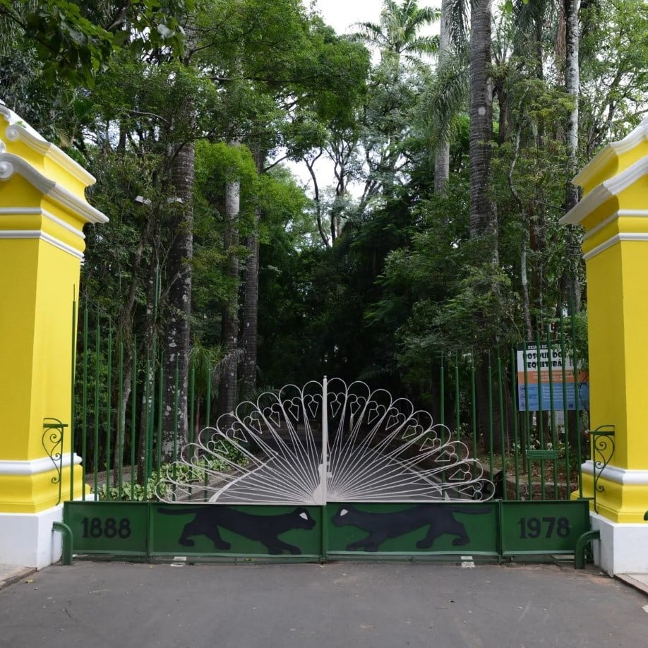 Bosque dos Jequitibás reabre após sete meses