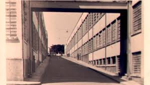 Cianê Prefeitura oficializa doação de área da Cianê para o Instituto Federal