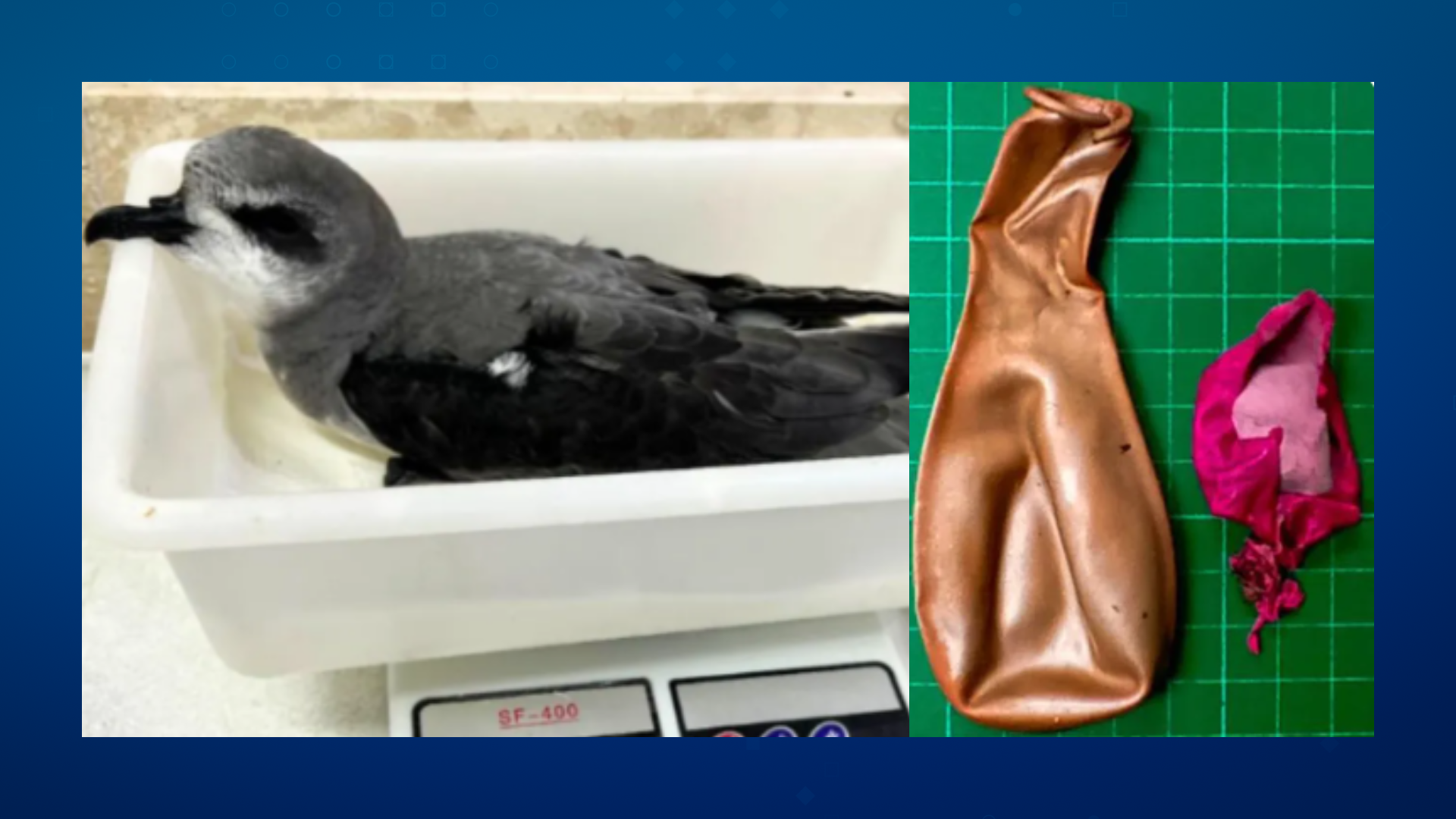 Design sem nome (69)