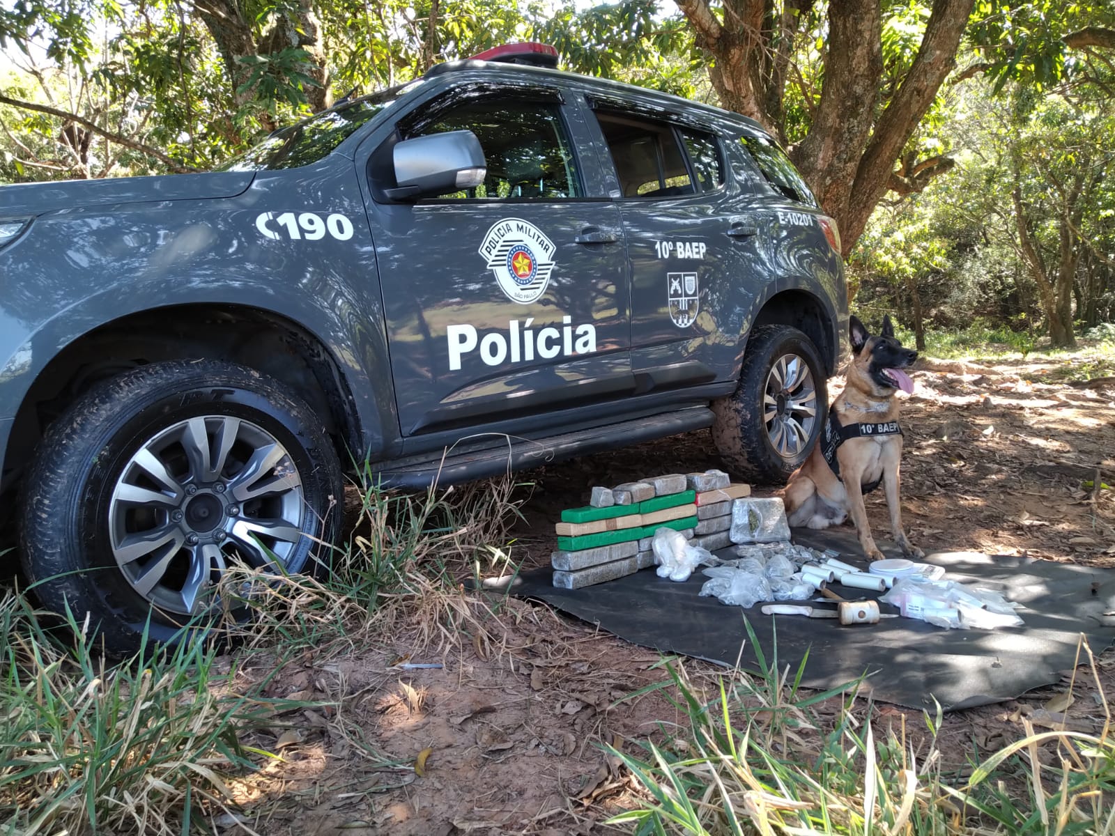 Cão Yran da PM localiza tambores recheados de drogas enterrados em Sumaré