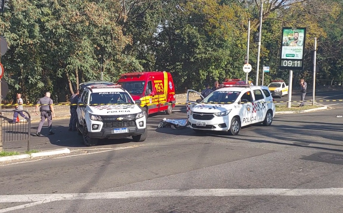 Idoso é preso em flagrante por venda de peças automotivas falsificadas em  Campinas, Campinas e Região