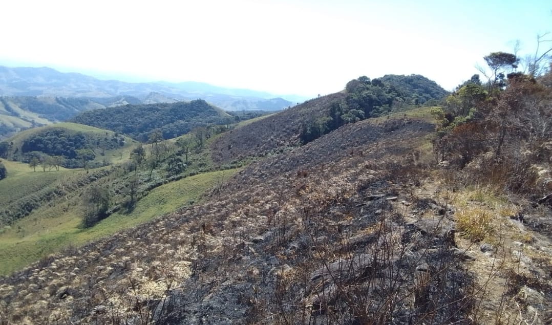 fazendeira fogo cunha fazendeira fogo cunha