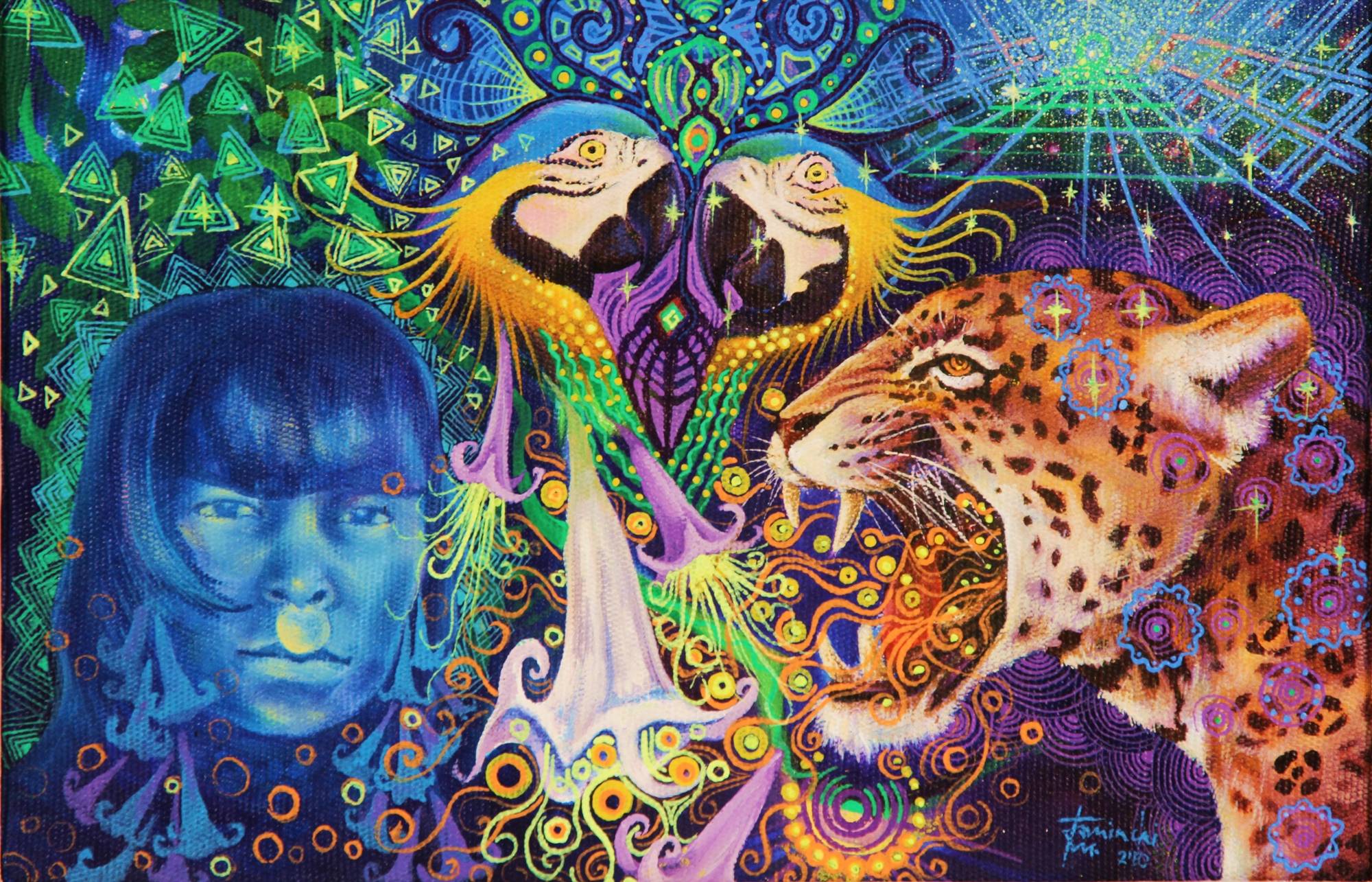 ayahuascacostaricaretreat.com_