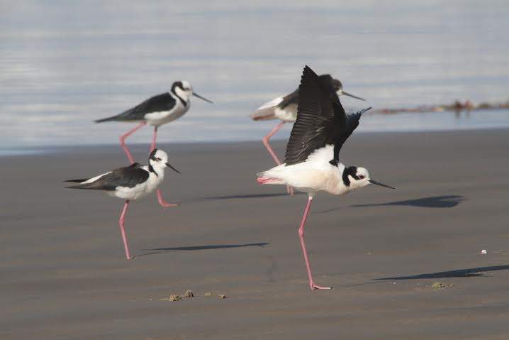 5fb3b61162923b2d9f8e1013dcbab1b6