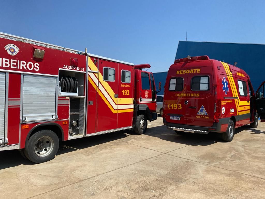 Abelhas atacam alunos e funcionários em creche de Artur Nogueira