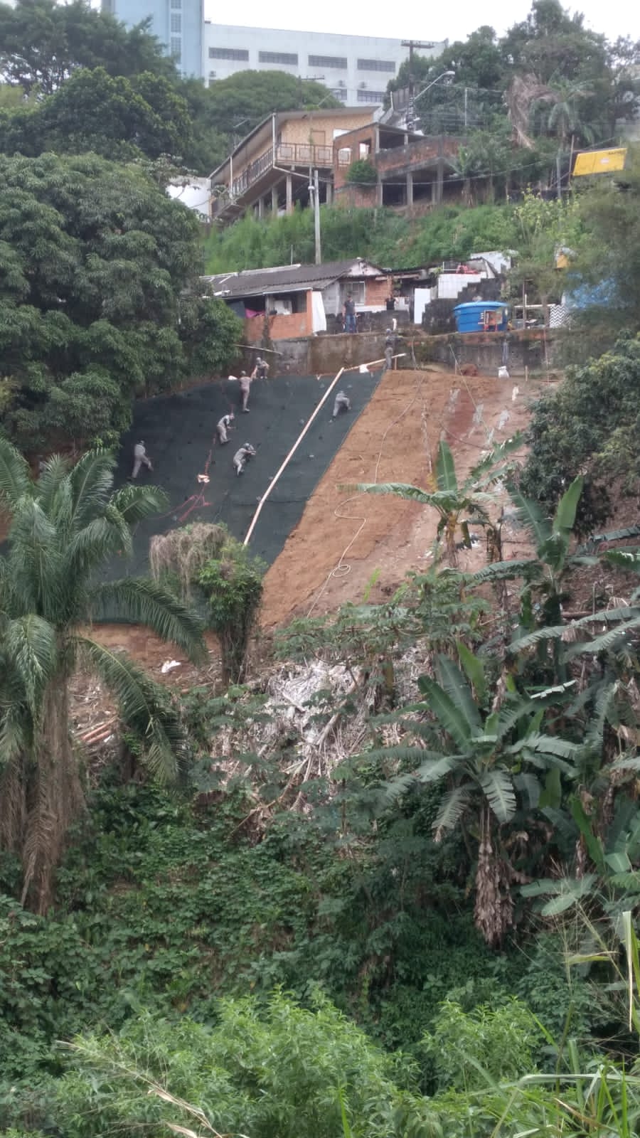 Avançam obras de estabilização de encosta no Morro José Menino, em Santos (2)