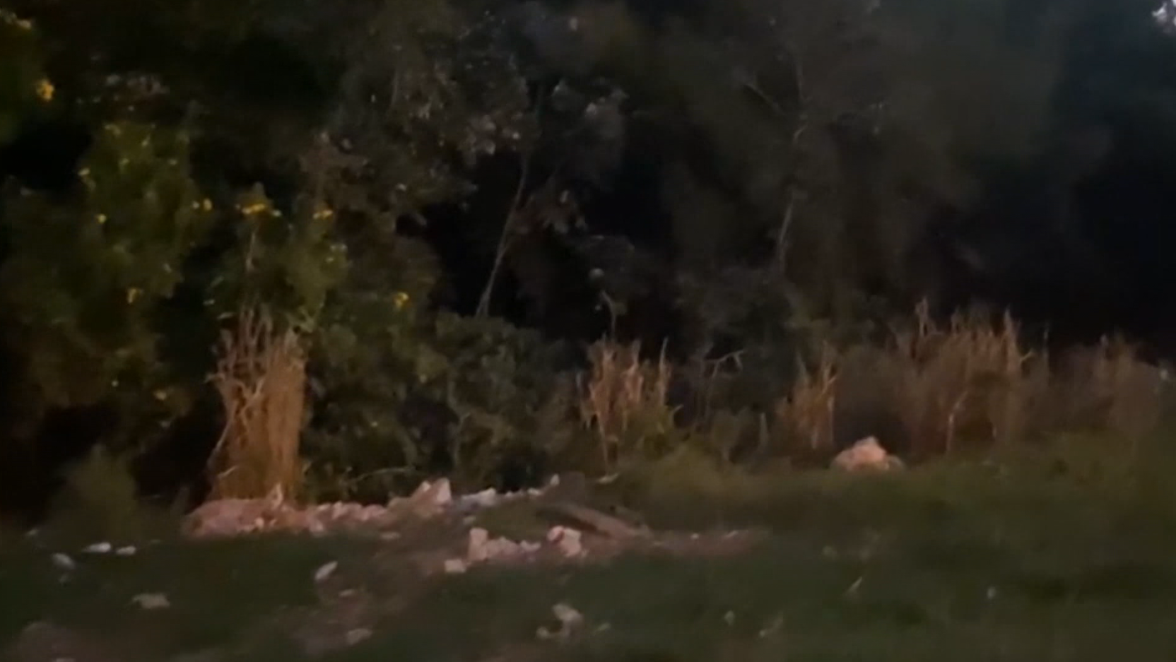 Capturar Homem é encontrado morto em horta de Campinas