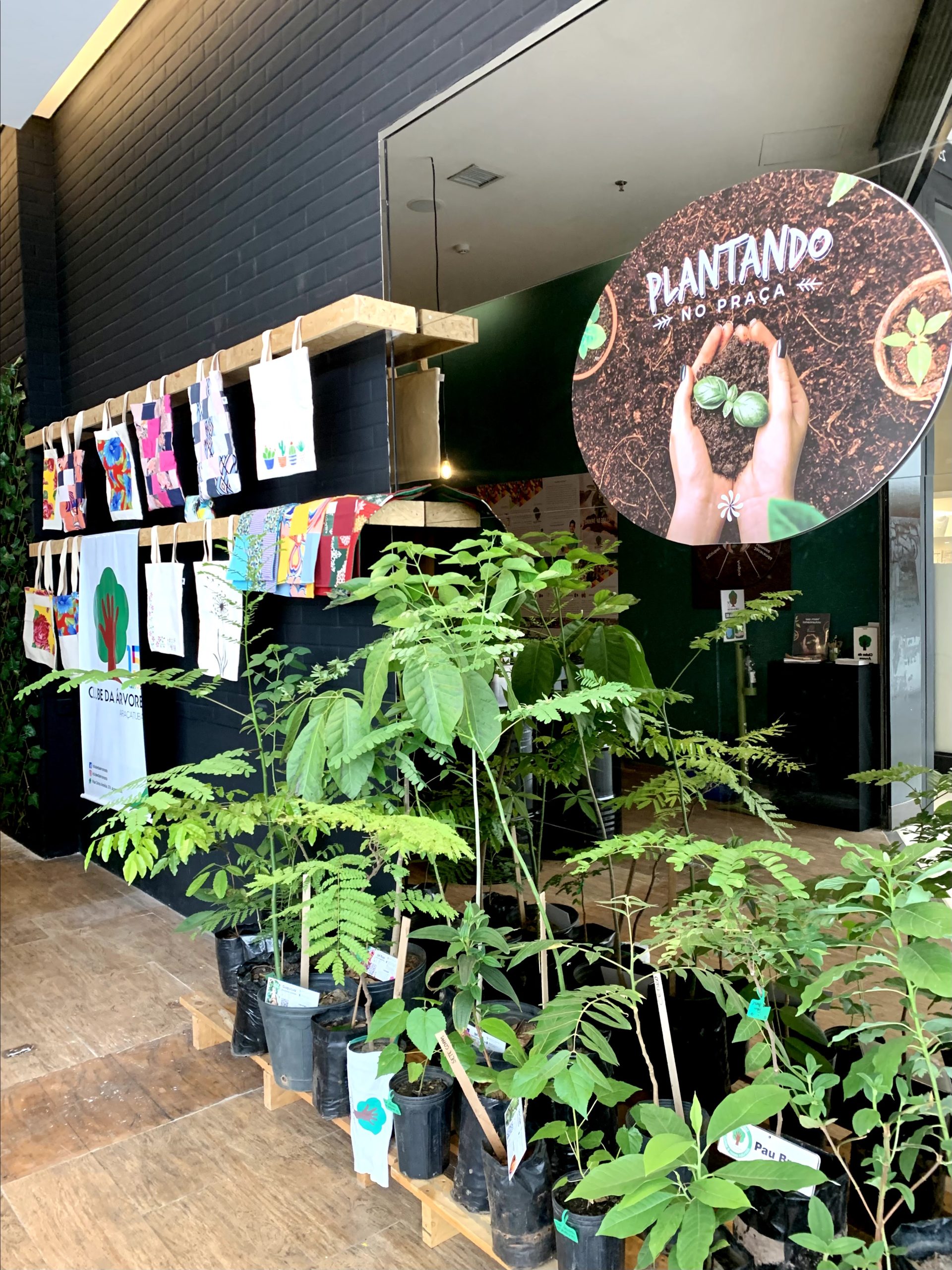 plantando no praça