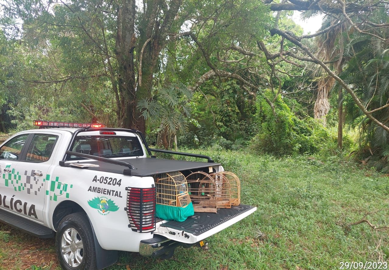 PM Ambiental apreende aves silvestres e multa homem em Limeira