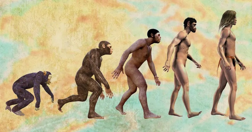 WhatsApp Image 2023-09-11 at 10.43.33