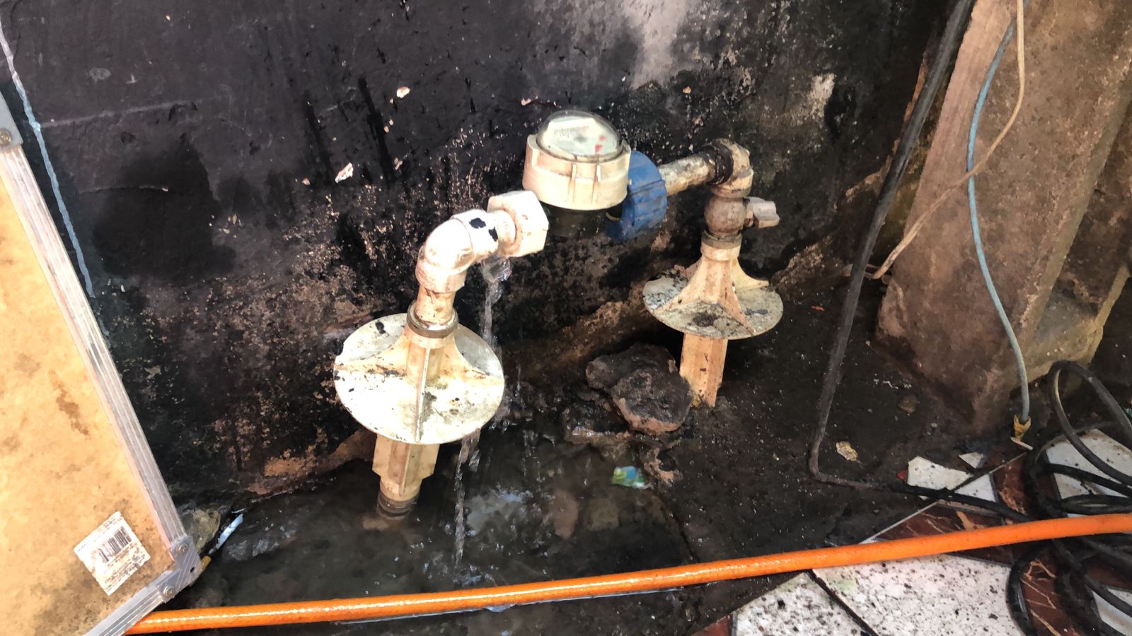 WhatsApp Image 2023-09-13 at 15.29.24