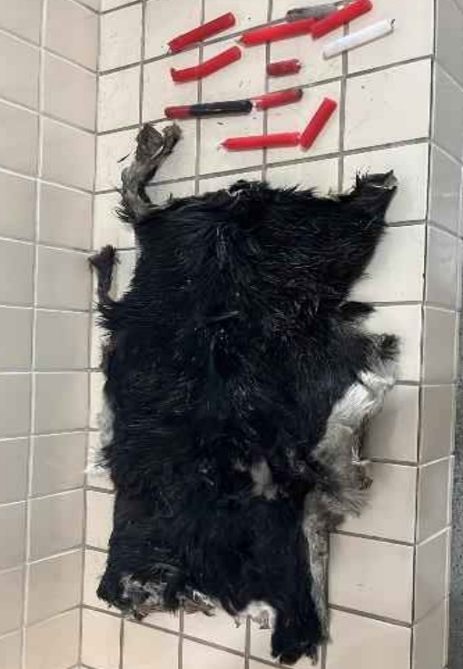 WhatsApp Image 2023-09-14 at 18.08.11