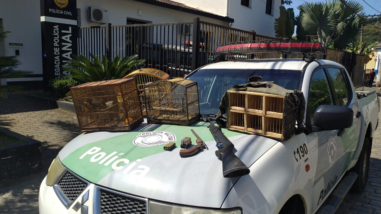 bananal aves apreendidas