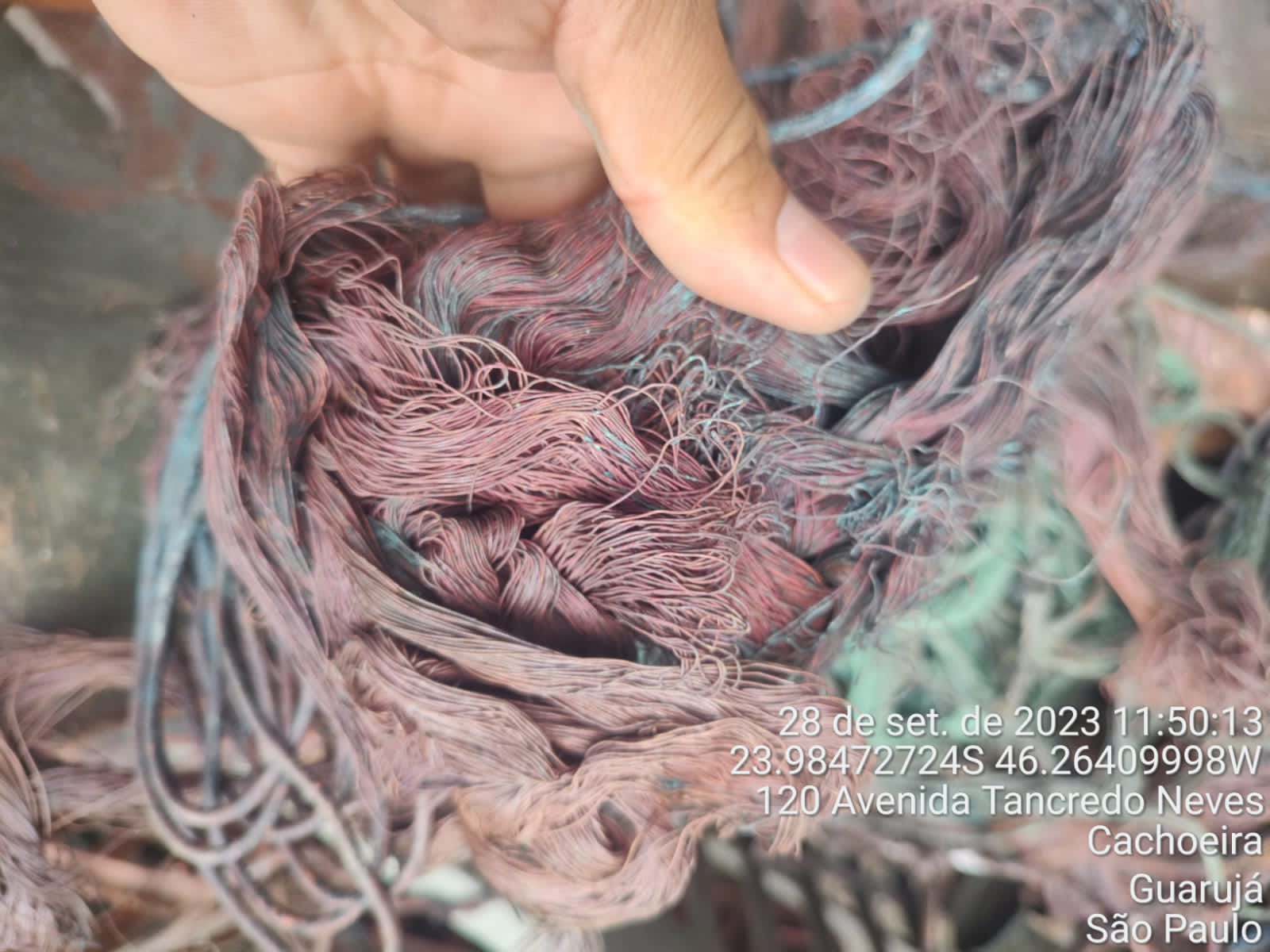 WhatsApp Image 2023-09-29 at 11.08.37