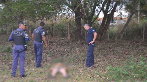 Corpo de homem é encontrado na zona rural de Itapira