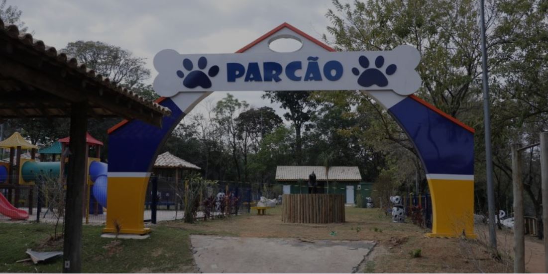 ParCão: Parque exclusivo para cachorros é inaugurado em Jaguariúna