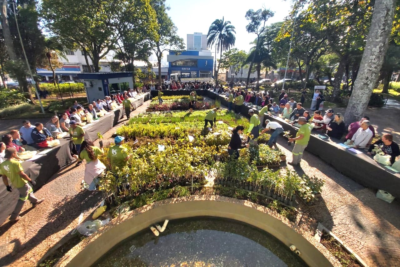 Em homenagem ao Dia da Árvore, 7,5 mil mudas serão doadas em Itatiba nesta quarta-feira