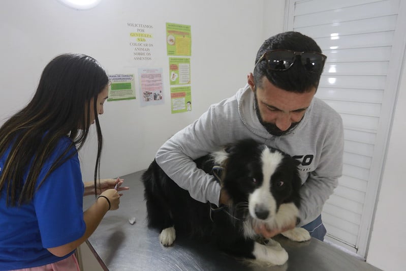 53268896267_7e818dacc7_c