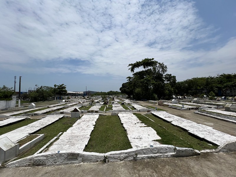 53298516385_d1b62cd8ea_c