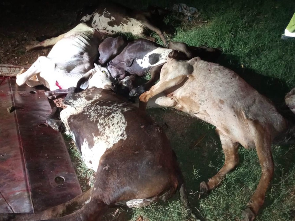 8a0c22e1-58b0-435e-937f-a4d7054fd610 (Copy)