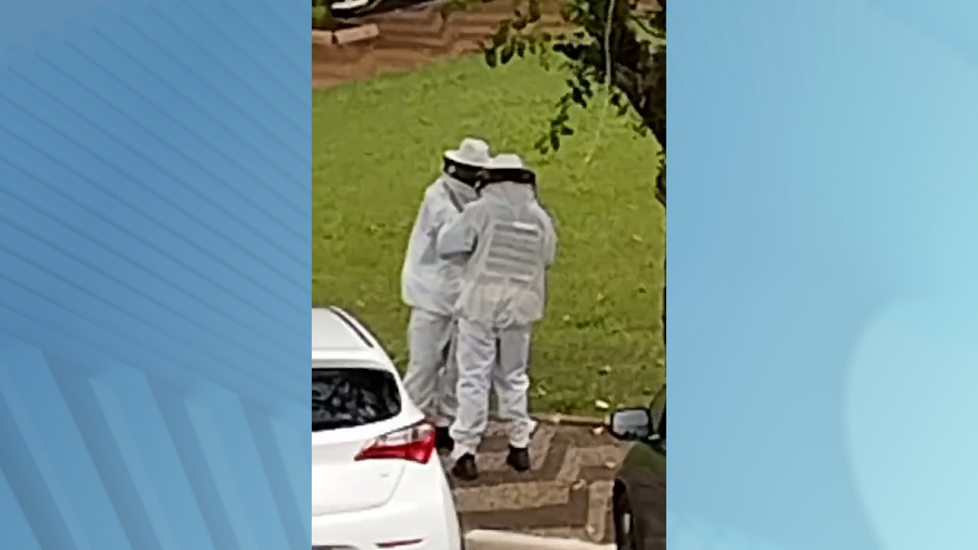 Ataque de abelhas deixa feridos em Mogi Guaçu