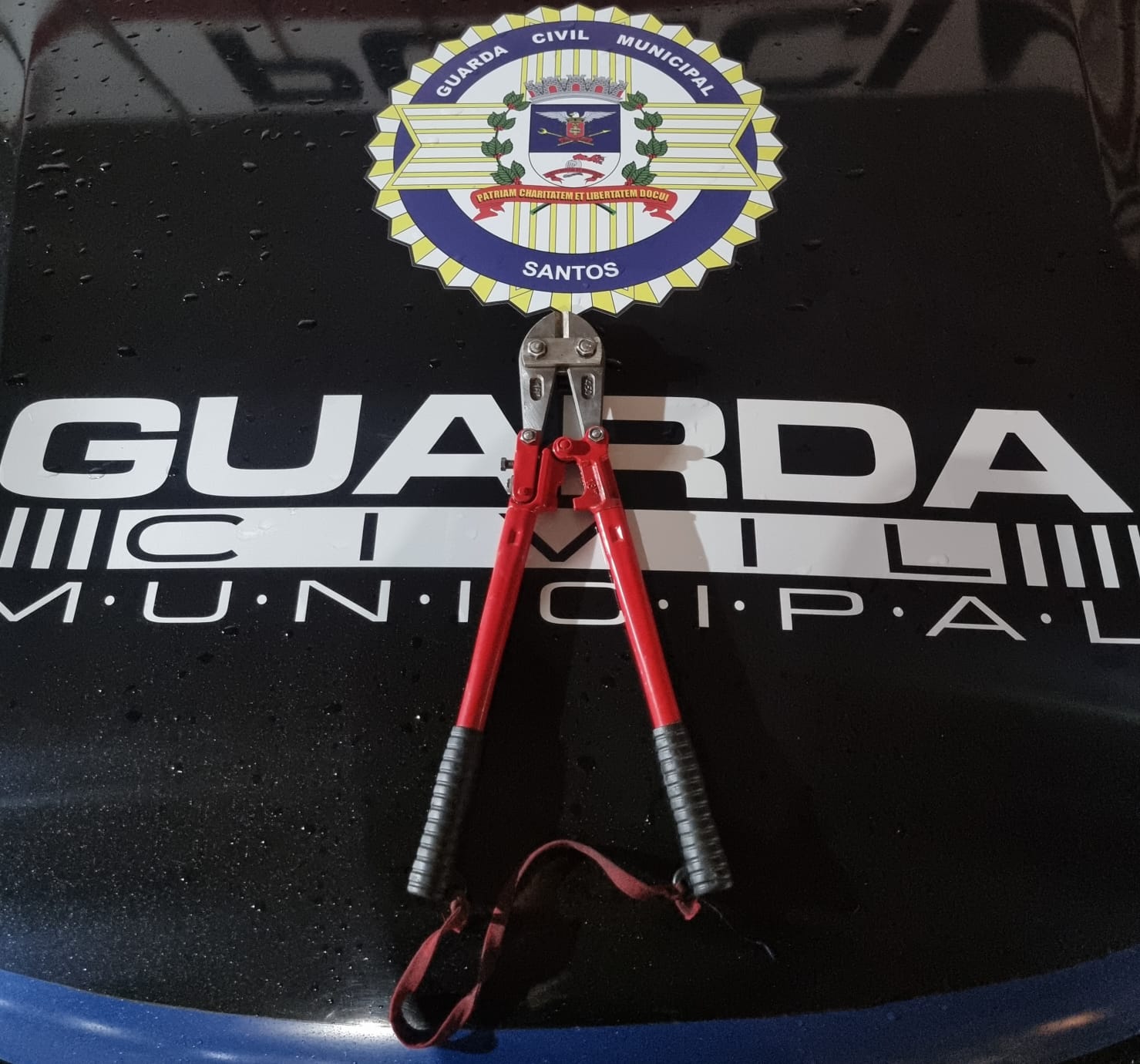 Guarda Municipal prende homem por furto de fiação em igreja em Santos (2)