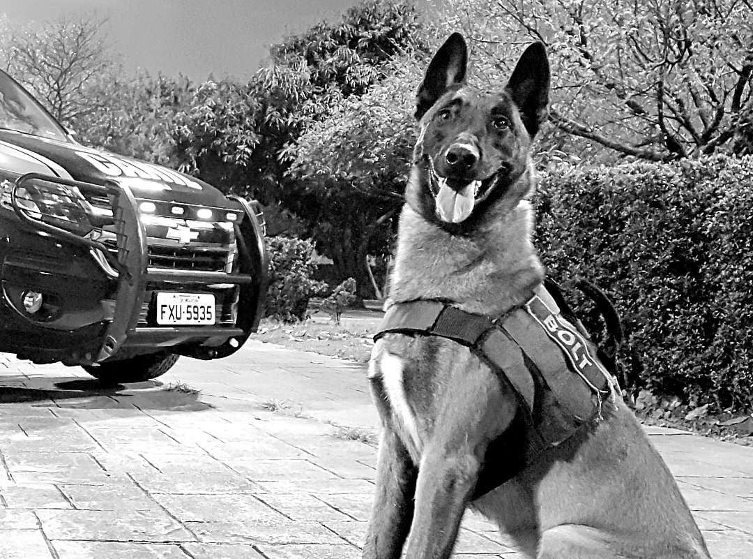 WhatsApp Image 2023-10-02 at 19.20.50