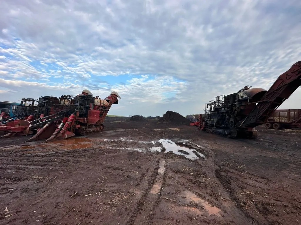 WhatsApp Image 2023-10-10 at 08.12.08