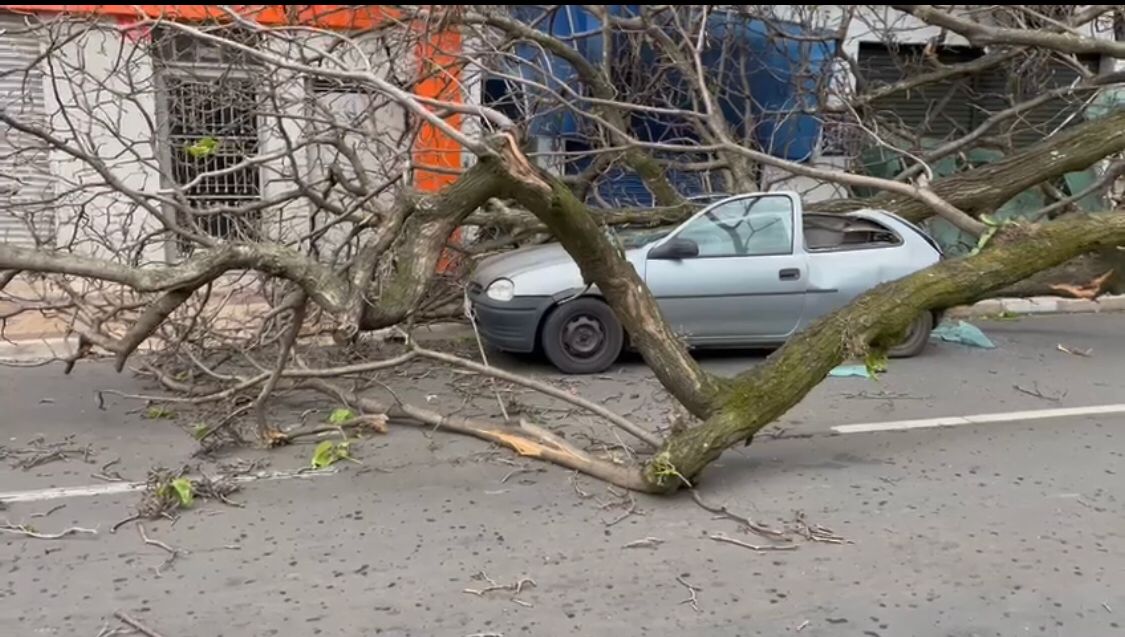 WhatsApp Image 2023-10-12 at 19.24.37