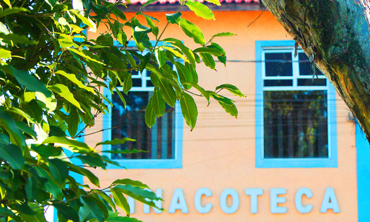 site-pinacoteca-2023