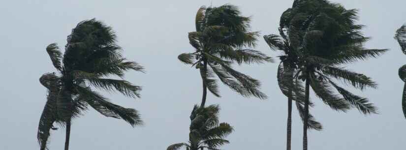 07_11-Ventos-fortes-825x305 ventos fortes litoral norte