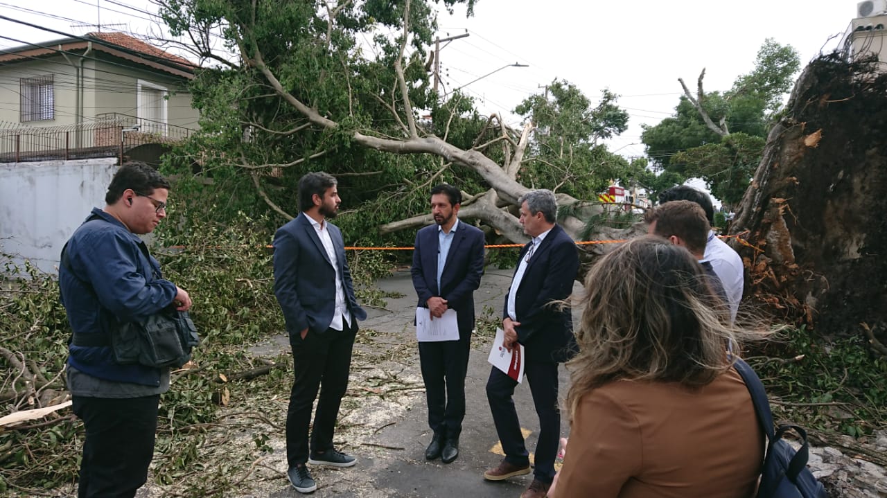 Queda de árvore, zona sul de São Paulo (Camilo Mota)