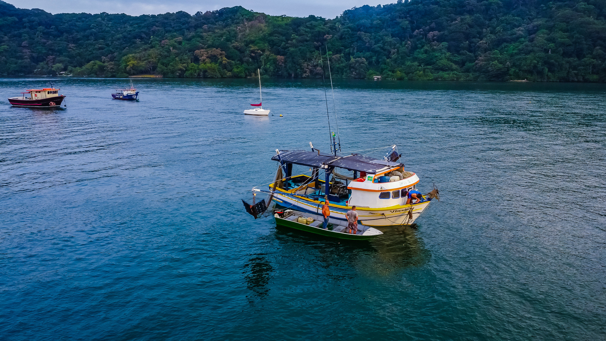 52885198465_9a6a61bc96_k