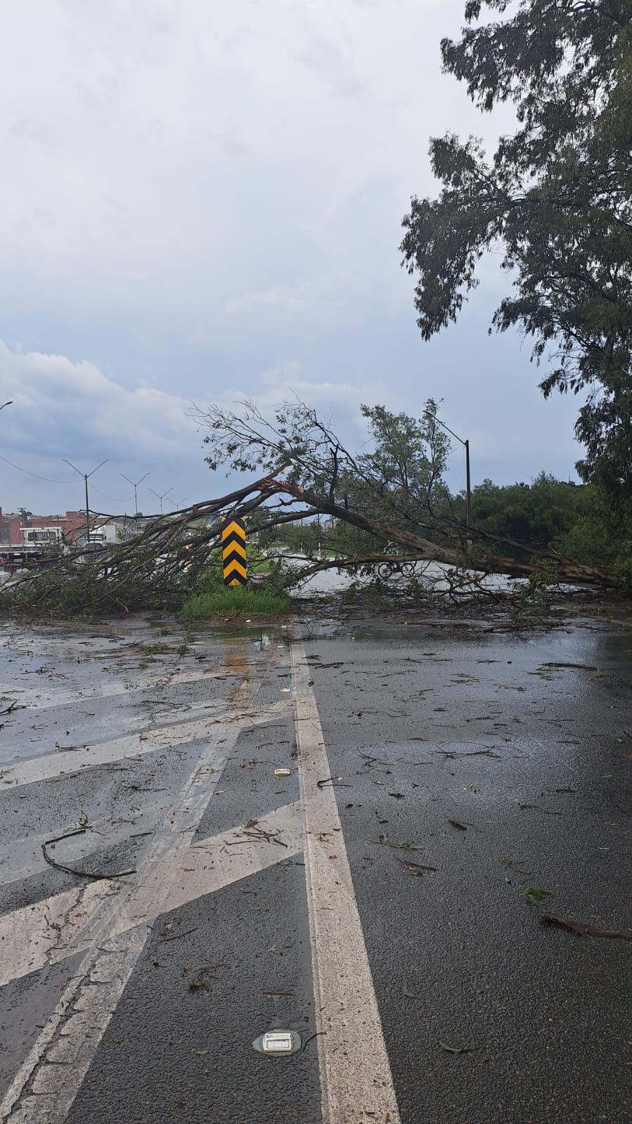 Chuva atinge região e causa estragos; veja imagens Chuva atinge região e causa estragos; veja imagens