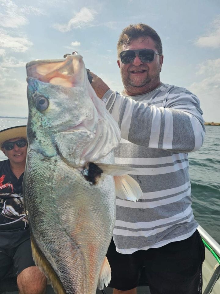 WhatsApp Image 2023-11-08 at 11.23.51