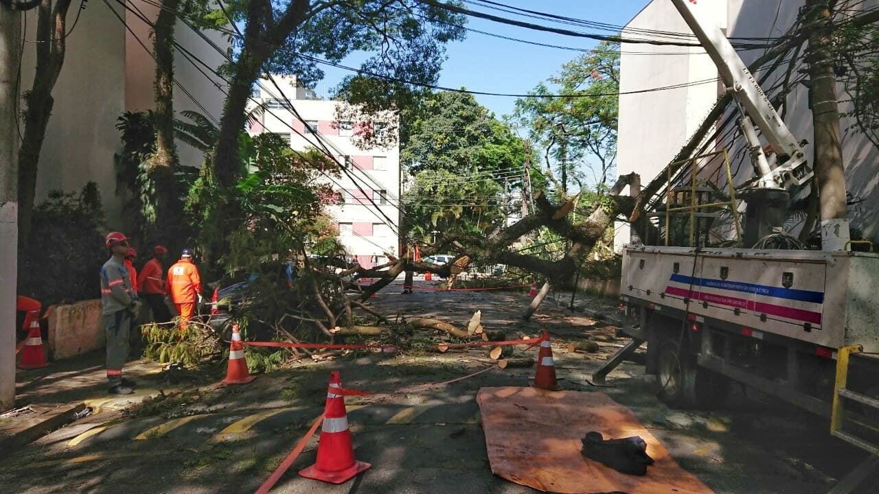 WhatsApp Image 2023-11-08 at 13.23.54 (2) - Copia