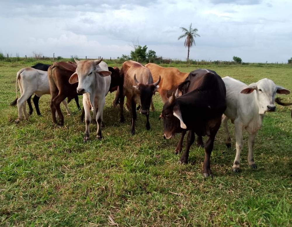 WhatsApp Image 2023-11-10 at 09.31.26