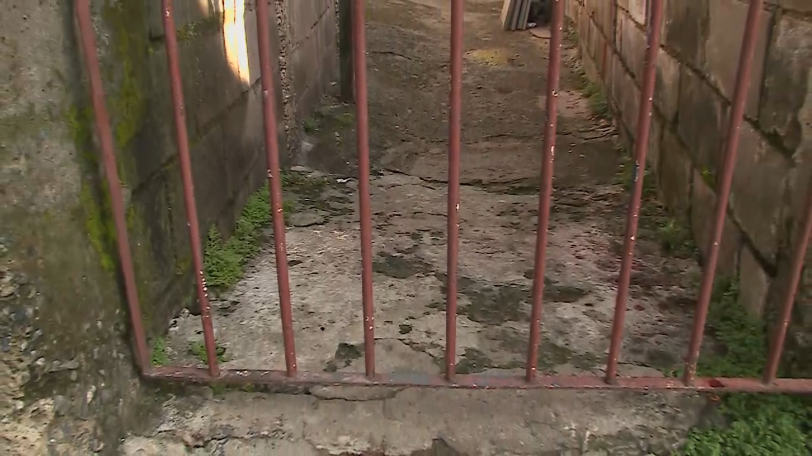 WhatsApp Image 2023-11-21 at 08.35.12