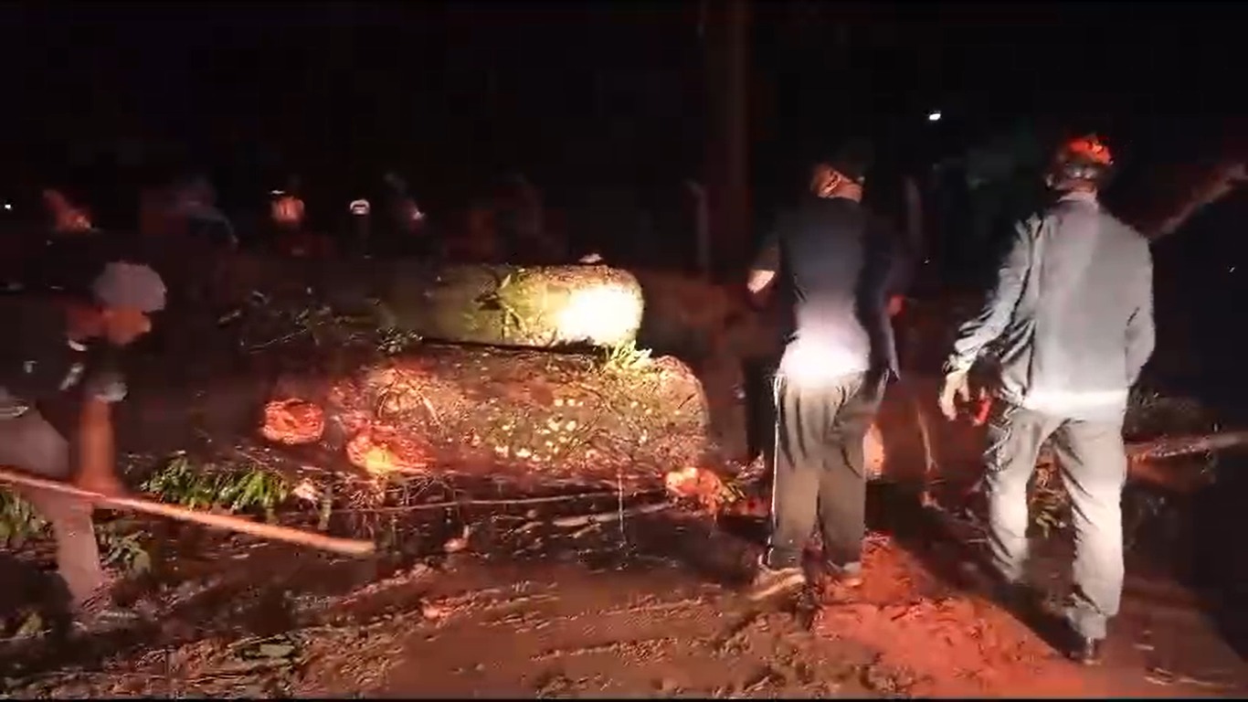 queda de árvores sjc