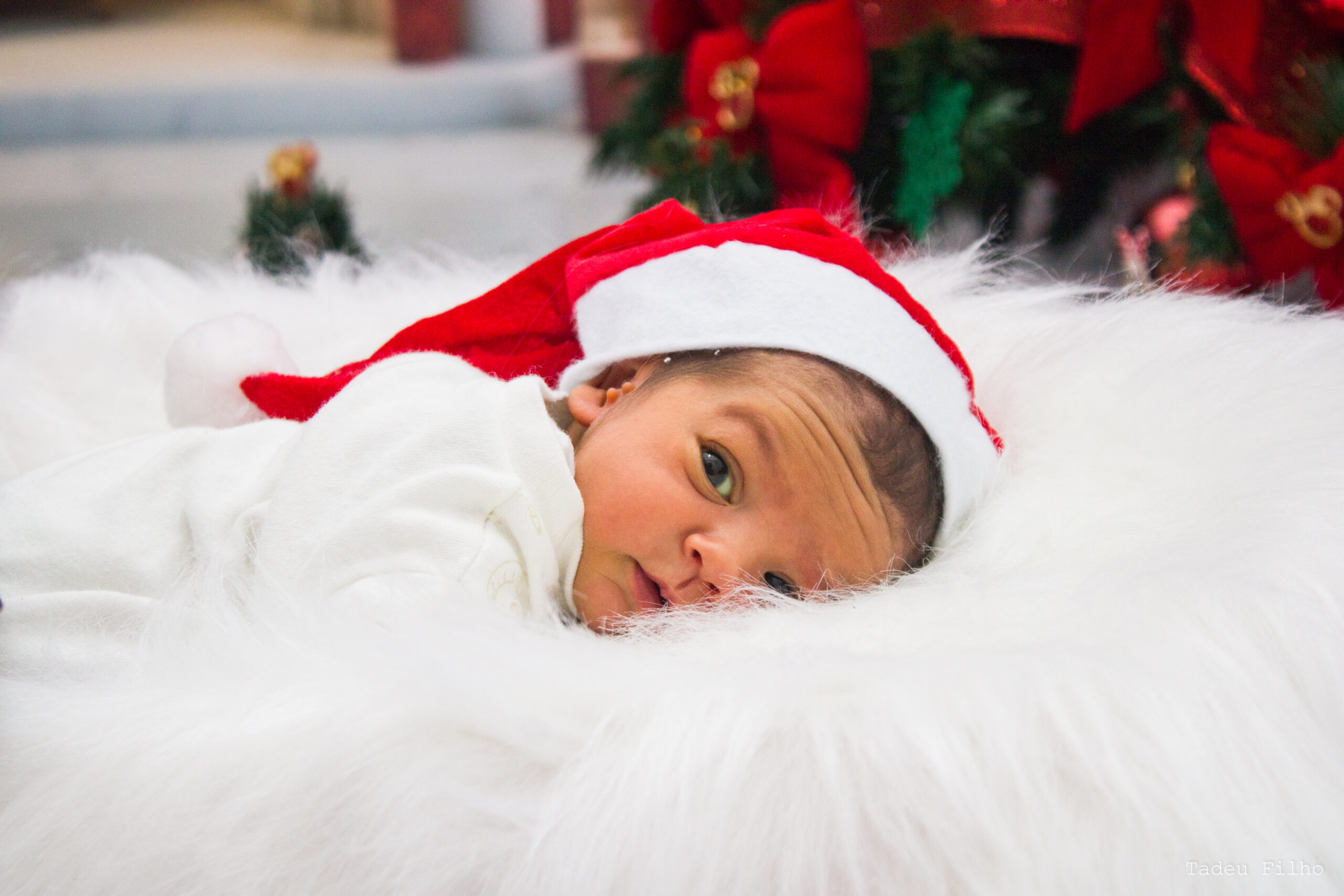 21 - New Born Saúde Natal Tadeu Filho (26)