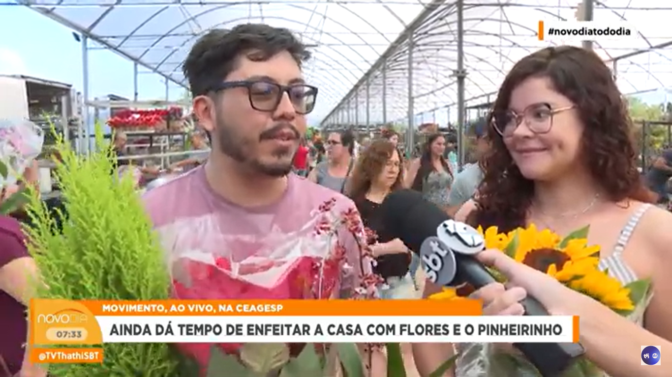 Esta sexta-feira (22) é o último dia útil para as compras de frutas, plantas e pinheiros antes do Natal. Com a data chegando