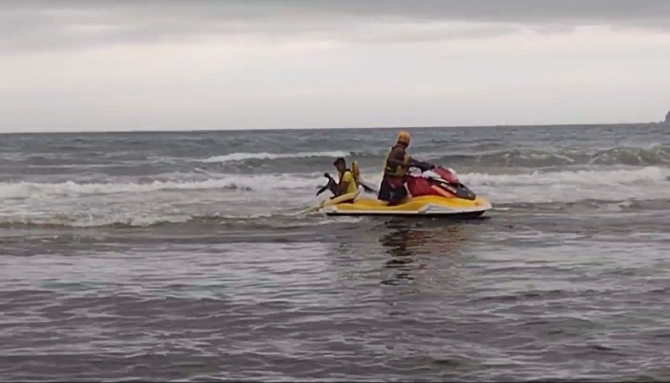 bicho-preguiça ubatuba