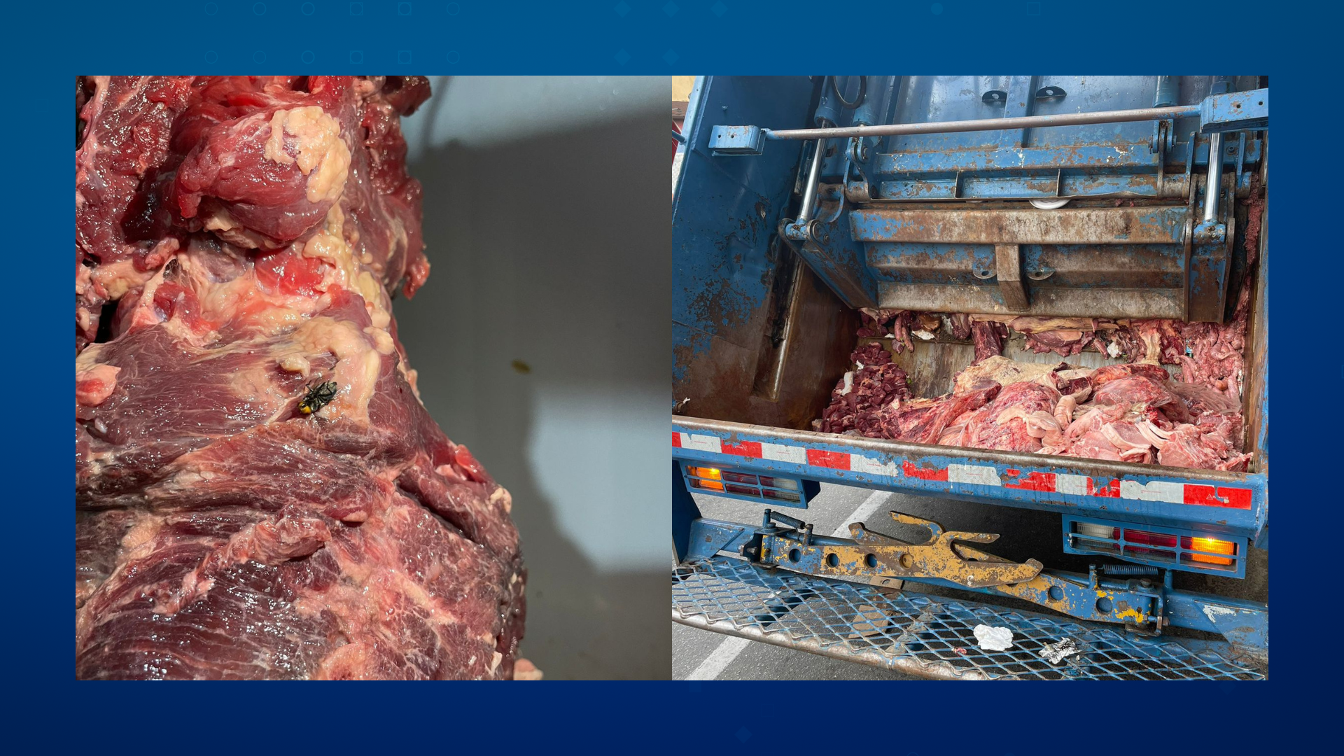 Design sem nome (22)