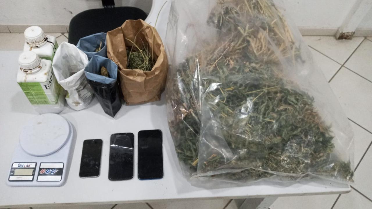 Polícia descobre pés de maconha e estufa e prende homem em Campinas