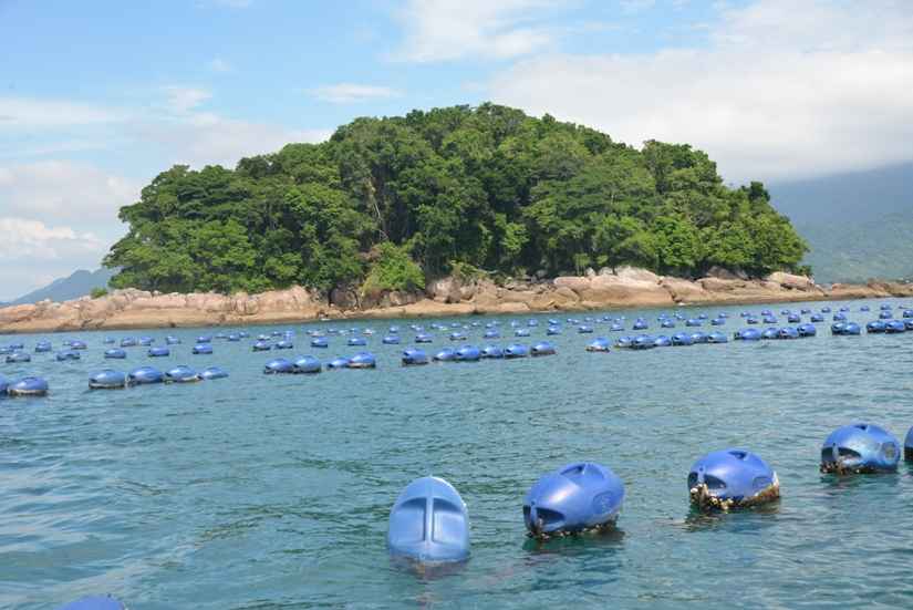 corpo boiando na praia da cocanha em caraguá