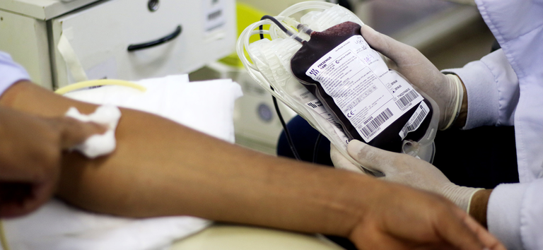 Saiba onde doar sangue em Campinas